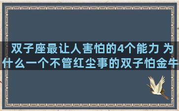 双子座最让人害怕的4个能力 为什么一个不管红尘事的双子怕金牛